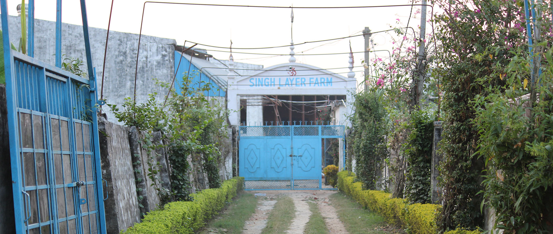 Layer-farming-slider-1