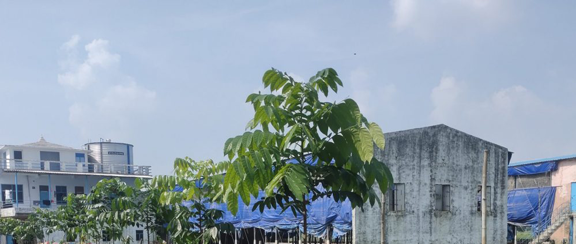 Layer-farming-slider-2